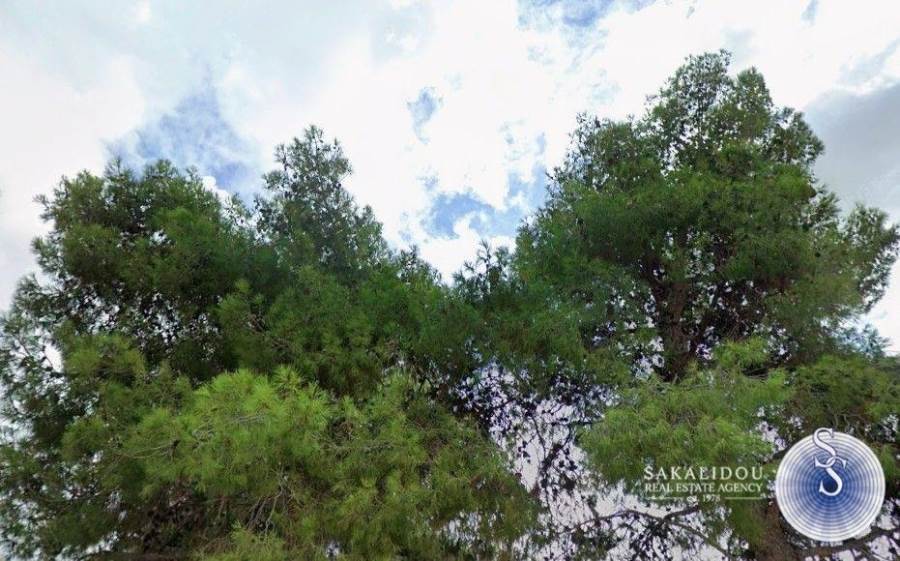 Γλυφάδα, περιοχή Ευρυάλη. οικόπεδο 602 τ.μ., σε πολύ προνομιακή τοποθεσία 