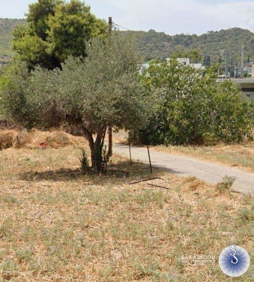 Vari, excellent corner plot of 610 sqm suitable also for a professional use 