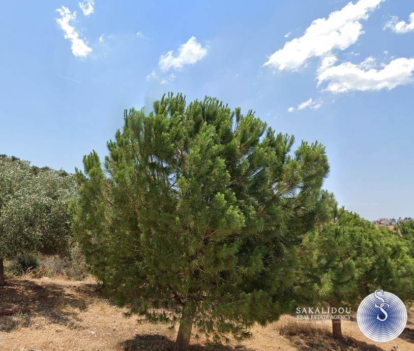 (For Sale) Land Plot || Athens South/Glyfada - 505 Sq.m, 650.000€ 