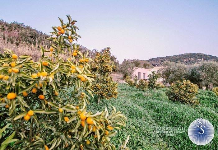 (For Sale) Land Agricultural Land  || Corfu (Kerkira)/Agios Georgios - 4.054 Sq.m, 70.000€ 