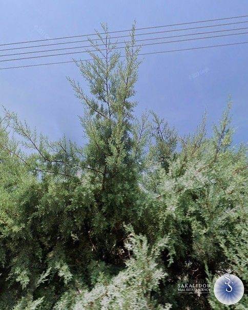 (Προς Πώληση) Αξιοποιήσιμη Γη Οικόπεδο || Ανατολική Αττική/Βάρη-Βάρκιζα - 508 τ.μ, 380.000€ 