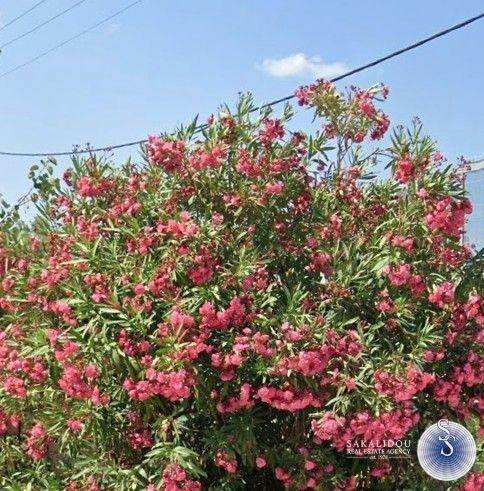 (Προς Πώληση) Αξιοποιήσιμη Γη Οικόπεδο || Ανατολική Αττική/Βούλα - 550 τ.μ, 1.000.000€ 