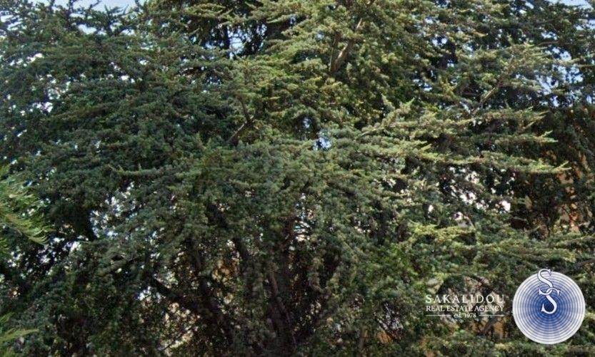 (Προς Πώληση) Αξιοποιήσιμη Γη Οικόπεδο || Αθήνα Νότια/Γλυφάδα - 440 τ.μ, 700.000€ 