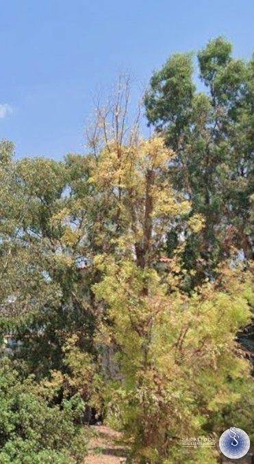 (Προς Πώληση) Αξιοποιήσιμη Γη Οικόπεδο || Ανατολική Αττική/Βούλα - 565 τ.μ, 850.000€ 